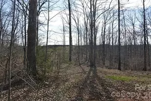 2030 Kisatchie Dr, Hickory Grove, SC 29717 - Photo 3