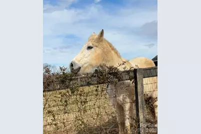 119 Abersham Drive, Mooresville, NC 28115 - Photo 41