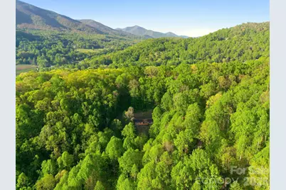 193 Tipstill Cove, Waynesville, NC 28786 - Photo 43