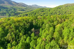 193 Tipstill Cove, Waynesville, NC 28786 - Photo 43