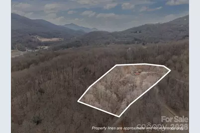 193 Tipstill Cove, Waynesville, NC 28786 - Photo 45