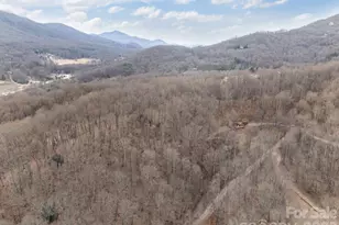 193 Tipstill Cove, Waynesville, NC 28786 - Photo 43