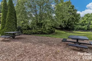 234 Brickton Village Cir, Fletcher, NC 28732 - Photo 29