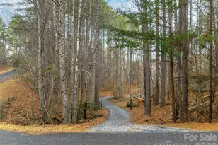 201 Hawk Ridge Dr, Mill Spring, NC 28756 - Photo 41