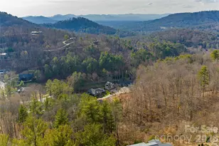 14 Twinflower Trail, Asheville, NC 28804 - Photo 31