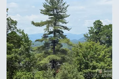 44 Leisure Mountain Road, Asheville, NC 28804 - Photo 3