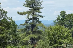 44 Leisure Mountain Rd, Asheville, NC 28804 - Photo 3