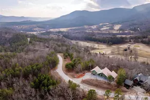 788 E Deep Gap Farm Rd, Mill Spring, NC 28756 - Photo 13