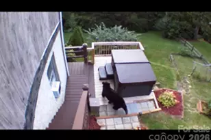 102 Sanctuary Rd, Maggie Valley, NC 28751 - Photo 43