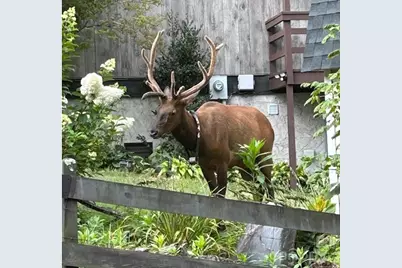 102 Sanctuary Road #B, Maggie Valley, NC 28751 - Photo 3