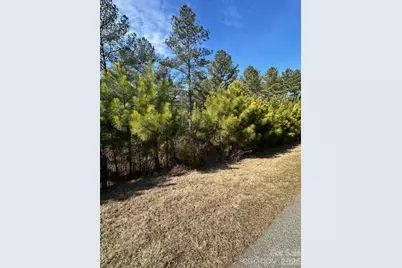 Tbd Windward Lane #33, Granite Falls, NC 28630 - Photo 3