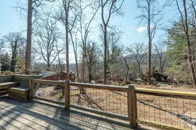 316 Oakdale Drive, Hendersonville, NC 28791 - Photo 29