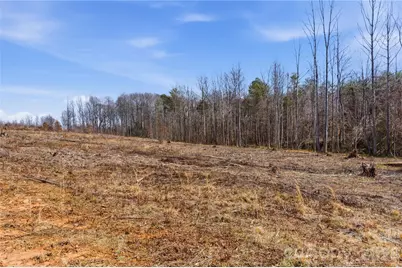 00 McCurry Farm Lane #D, Lincolnton, NC 28092 - Photo 13