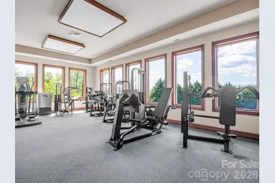 142 Mountain Elder Lane #79, Hendersonville, NC 28739 - Photo 35