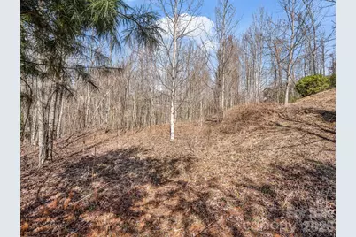 142 Mountain Elder Lane #79, Hendersonville, NC 28739 - Photo 9