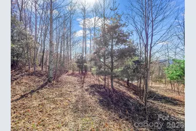 142 Mountain Elder Lane #79, Hendersonville, NC 28739 - Photo 3