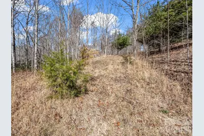 142 Mountain Elder Lane #79, Hendersonville, NC 28739 - Photo 7