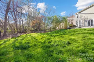 2901 Meherrin Ct, Waxhaw, NC 28173 - Photo 39