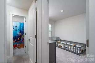 212 Brownstone Dr, Rock Hill, SC 29730 - Photo 17