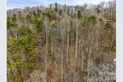 99999 Hawk View Drive #7, Asheville, NC 28804 - Photo 11