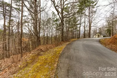 99999 Hawk View Drive #7, Asheville, NC 28804 - Photo 7