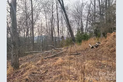 161 Starling Road, Lake Lure, NC 28746 - Photo 25