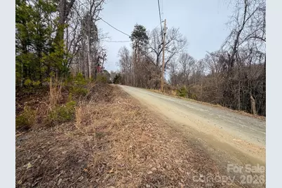 161 Starling Road, Lake Lure, NC 28746 - Photo 3