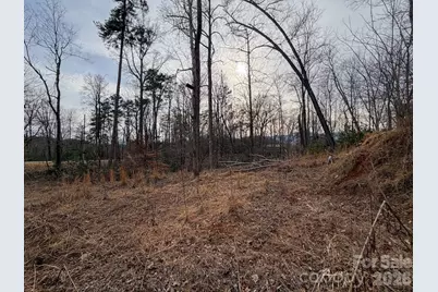 161 Starling Road, Lake Lure, NC 28746 - Photo 29