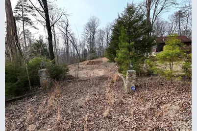 161 Starling Road, Lake Lure, NC 28746 - Photo 19