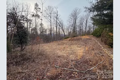 161 Starling Road, Lake Lure, NC 28746 - Photo 21