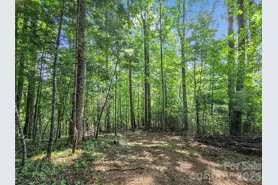 Tbd Davenport Hills Road, Hendersonville, NC 28739 - Photo 3