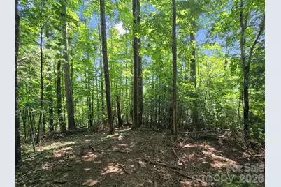 Tbd Davenport Hills Road, Hendersonville, NC 28739 - Photo 23