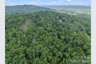 Tbd Davenport Hills Road, Hendersonville, NC 28739 - Photo 9