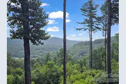 Tbd Davenport Hills Road, Hendersonville, NC 28739 - Photo 5