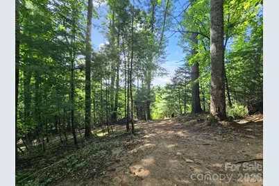 Tbd Davenport Hills Road, Hendersonville, NC 28739 - Photo 21