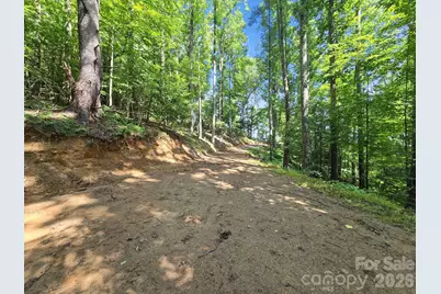 Tbd Davenport Hills Road, Hendersonville, NC 28739 - Photo 19