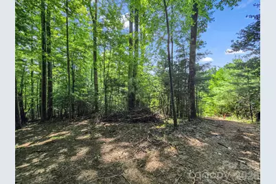 Tbd Davenport Hills Road, Hendersonville, NC 28739 - Photo 15