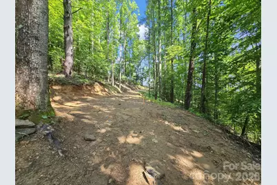 Tbd Davenport Hills Road, Hendersonville, NC 28739 - Photo 17