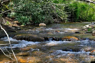 17 Resada Drive, Brevard, NC 28712 - Photo 33