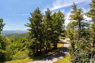 #178 Dancing Bear Dr, Hendersonville, NC 28792 - Photo 1