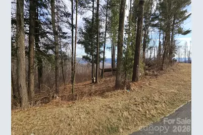 #178 Dancing Bear Drive, Hendersonville, NC 28792 - Photo 3