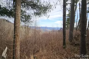 #178 Dancing Bear Dr, Hendersonville, NC 28792 - Photo 1