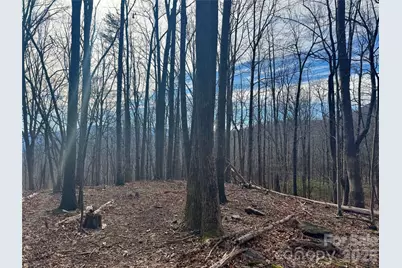 99999 Chesterfield Drive #176, Mill Spring, NC 28756 - Photo 1