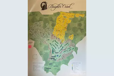 99999 Chesterfield Drive #176, Mill Spring, NC 28756 - Photo 13