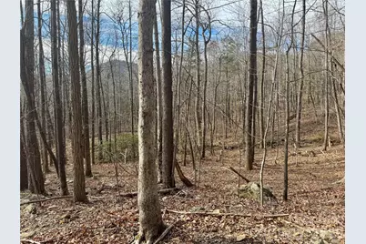 99999 Chesterfield Drive #176, Mill Spring, NC 28756 - Photo 9