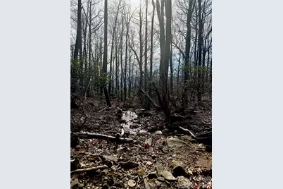 99999 Chesterfield Drive #176, Mill Spring, NC 28756 - Photo 11