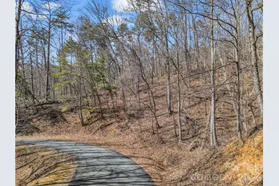 Lot #19 Hemlock Trail, Columbus, NC 28722 - Photo 5