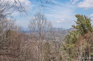 68 Crestwood Rd, Asheville, NC 28804 - Photo 15