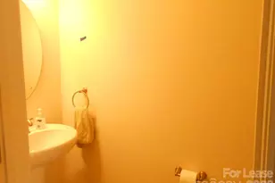 115 Leyton Loop, Mooresville, NC 28117 - Photo 19