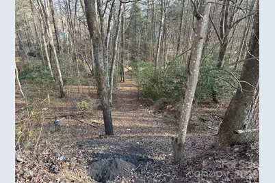 481 Fisher Road, Brevard, NC 28712 - Photo 7